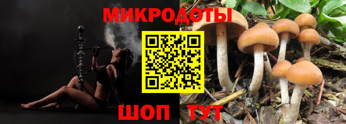что такое   Вход с VPN  Дзержинский  Галлюциногенные грибы мицелий 